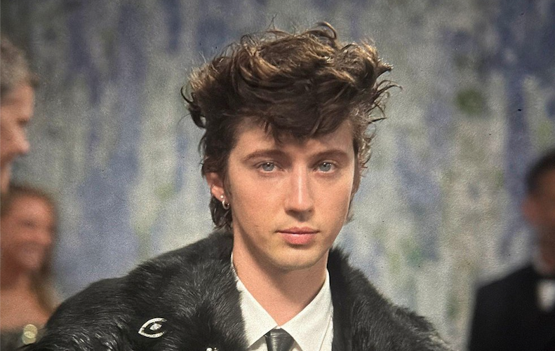 2026 Met Gala Hair